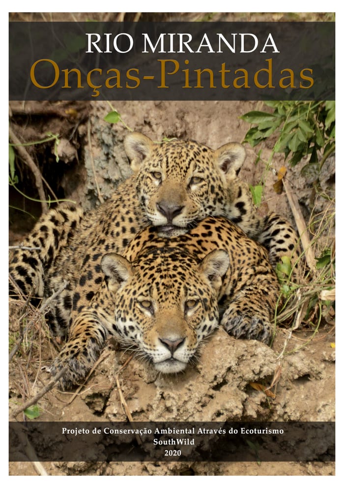 Cover of Jaguars from the Miranda River
