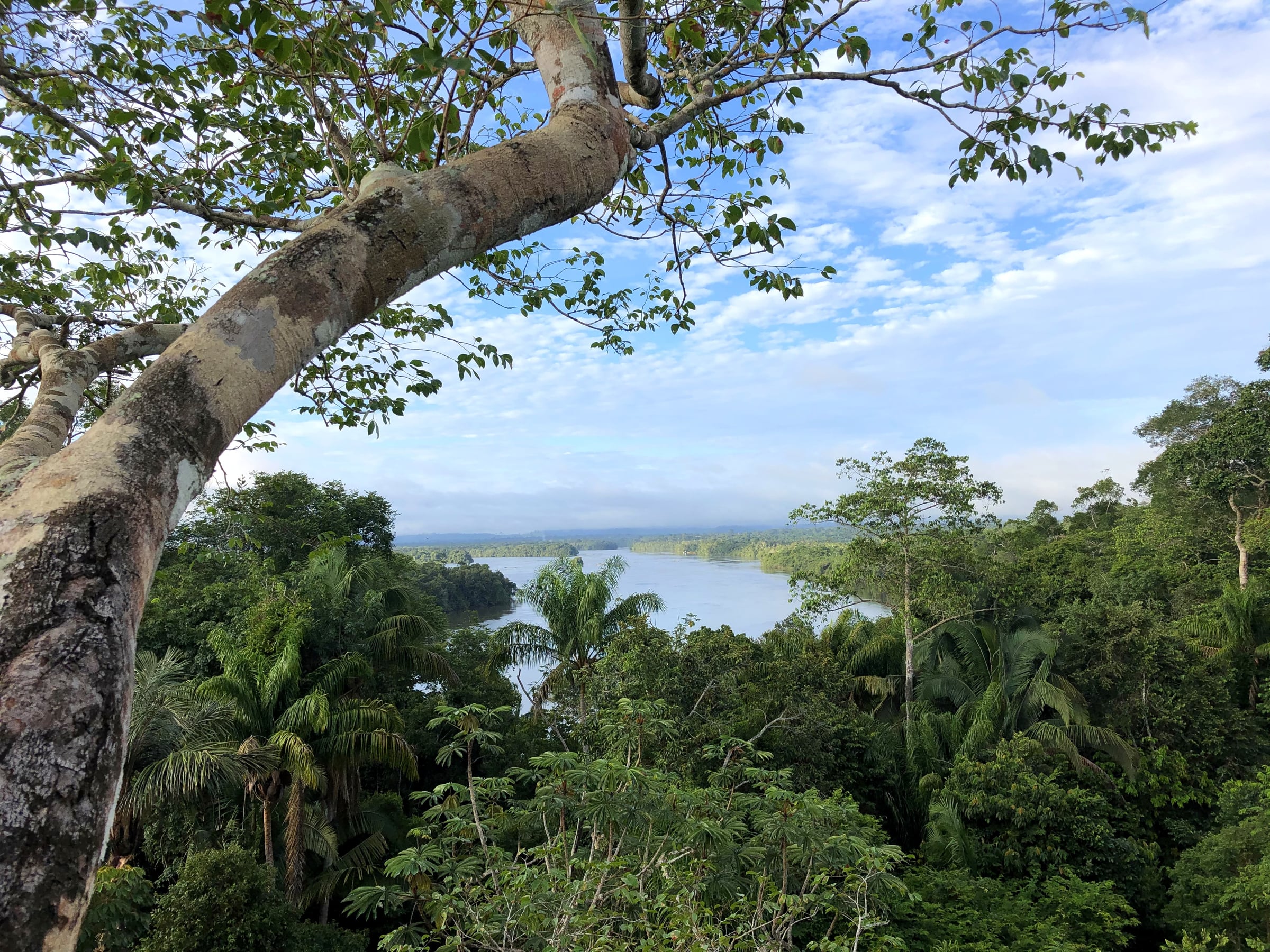 SouthWild Amazon Lodge on the Juruena River