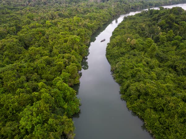 SouthWild Amazon Lodge, Beautiful aerial view to green amazon rainforest Igarapé near Juruena River