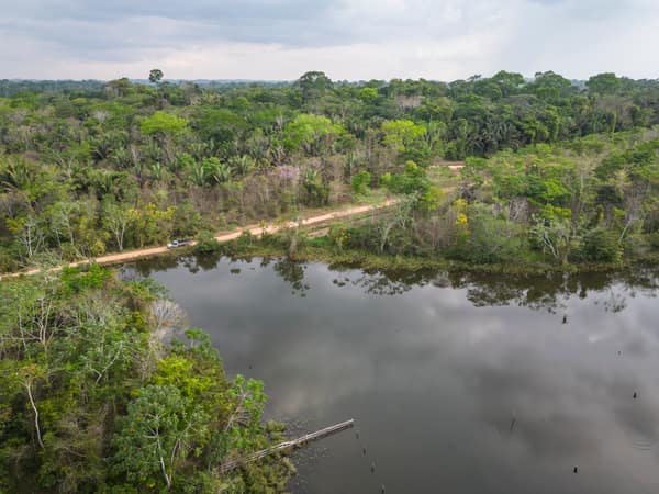 SouthWild Amazon Lodge, Truck safari on private roads