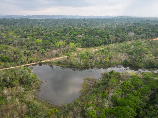 SouthWild Amazon Lodge, Truck safari on private roads