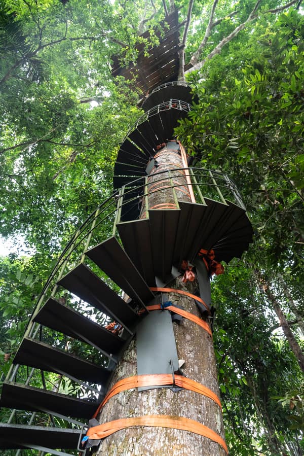 SouthWild Amazon Lodge, Canopy plataform