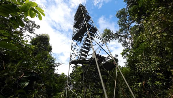SouthWild Amazon Lodge, Canopy plataform
