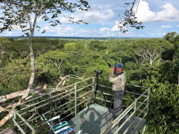 SouthWild Amazon Lodge, Canopy plataform