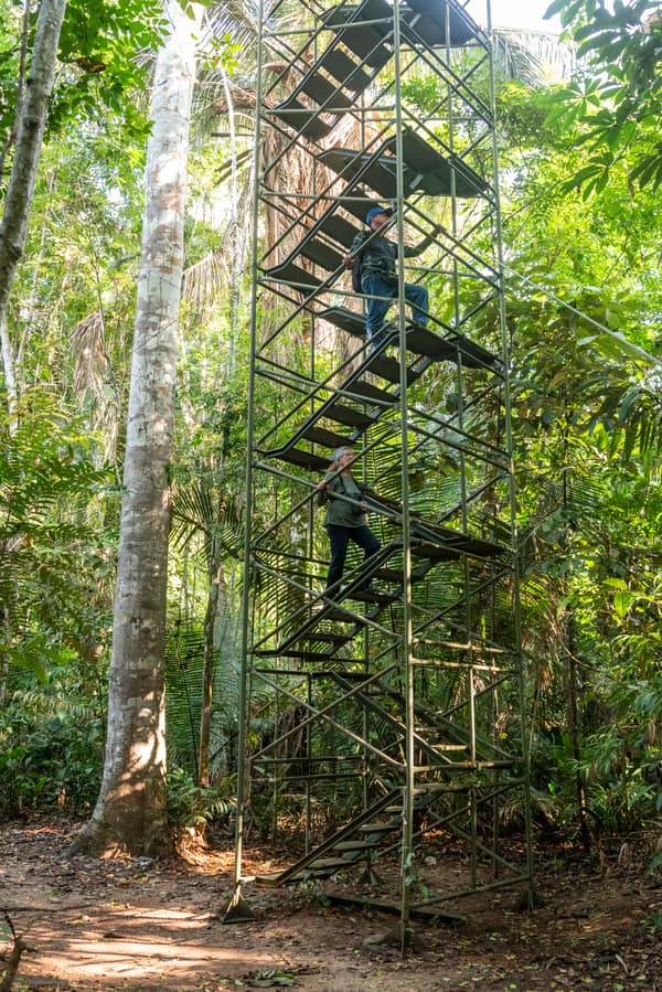 SouthWild Amazon Lodge, Canopy plataform