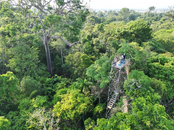 SouthWild Amazon Lodge, Canopy plataform