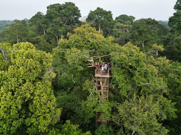 SouthWild Amazon Lodge, Canopy plataform