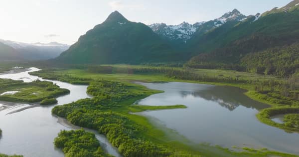 SouthWild Brown Bear Bay, coastal Alaska Brown Bears