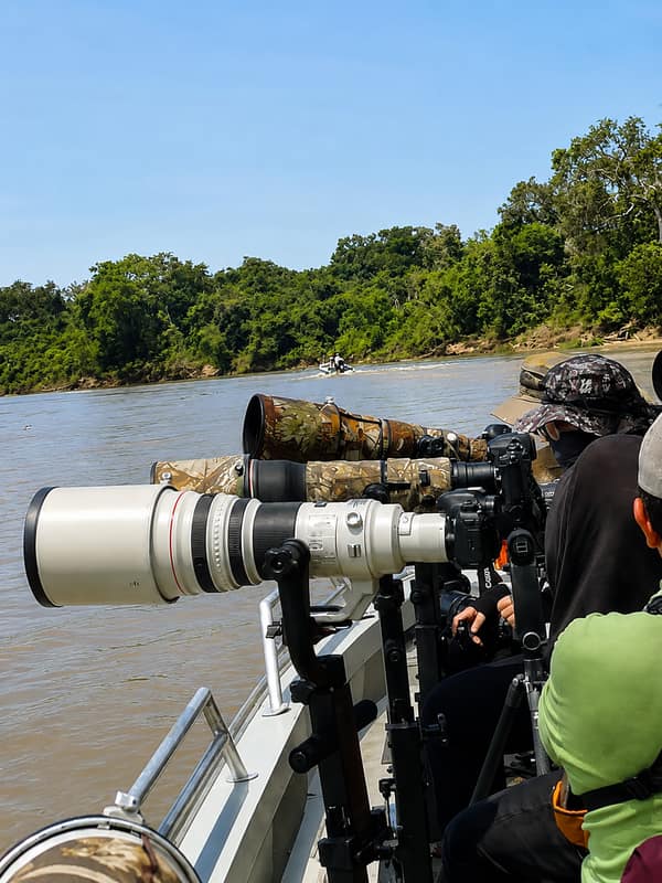 SouthWild Flotel & Jaguar Suites in Jaguarland, North Pantanal
