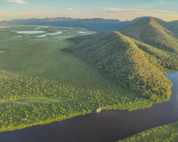 The SouthWild Naturezas expedition in the Pantanal