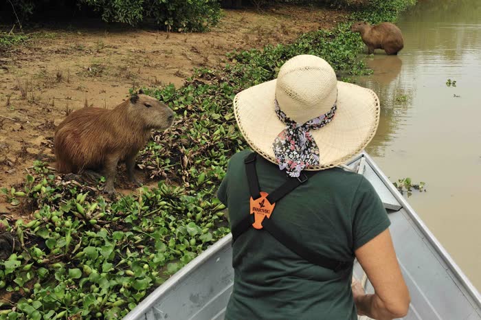 SouthWild Pantanal Lodge