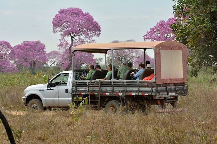SouthWild Pantanal Lodge
