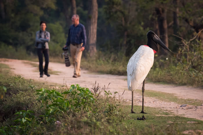 SouthWild Pantanal Lodge