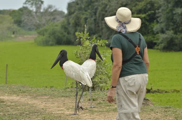 SouthWild Pantanal Lodge