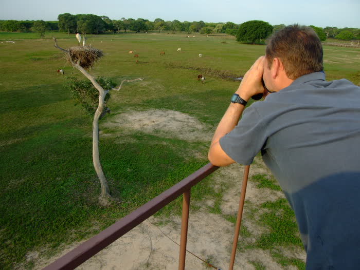 SouthWild Pantanal Lodge