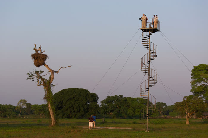 SouthWild Pantanal Lodge