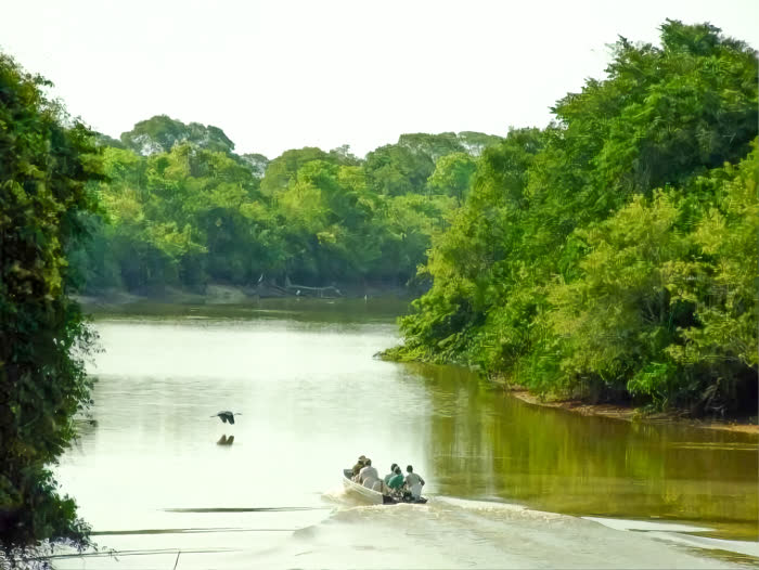 SouthWild Pantanal Lodge