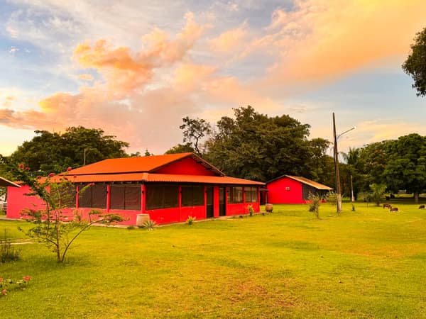 SouthWild Porto Jofre Pantanal Lodge in Jaguarland, North Pantanal