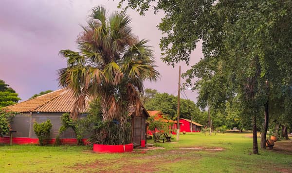 SouthWild Porto Jofre Pantanal Lodge in Jaguarland, North Pantanal