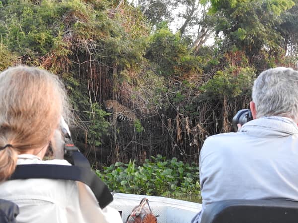 SouthWild Porto Jofre Pantanal Lodge in Jaguarland, North Pantanal