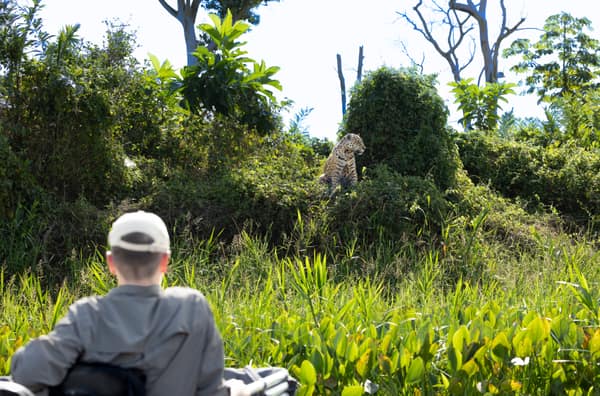 SouthWild Porto Jofre Pantanal Lodge in Jaguarland, North Pantanal