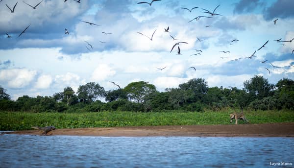 SouthWild Porto Jofre Pantanal Lodge in Jaguarland, North Pantanal