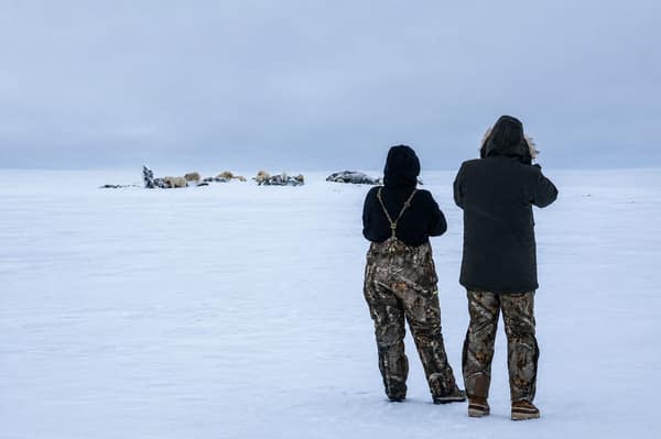 Two visitors in winter gear watching wildlife across the snow