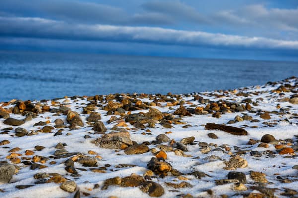 A snow-covered rocky shoreline along the Arctic coast