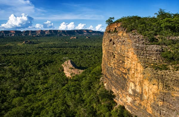 SouthWild Wolf Camps, Brazil