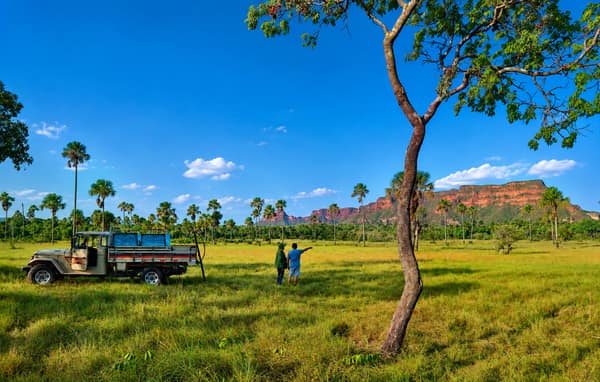 SouthWild Wolf Camps, Brazil