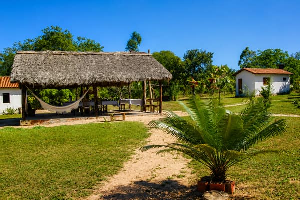 SouthWild Wolf Camps, Brazil