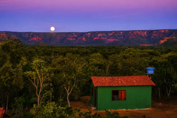 SouthWild Wolf Camps, Brazil