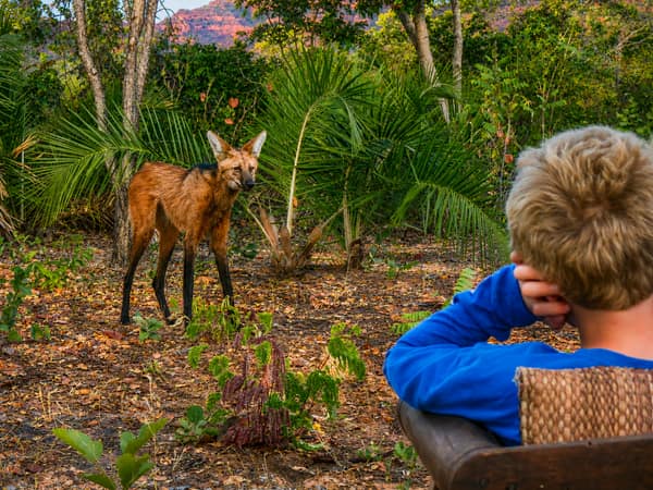 SouthWild Wolf Camps, Brazil