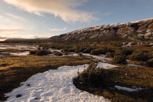 The Patagonian steppe and cliffs at golden light