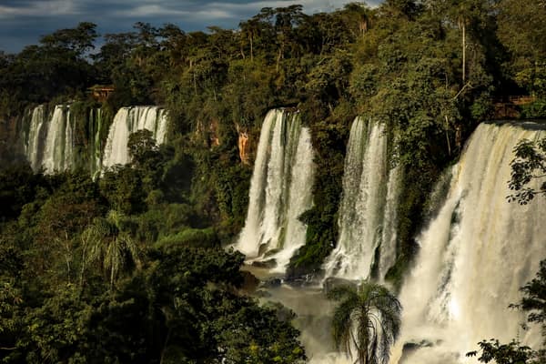 A row of waterfalls pouring through the Atlantic Forest at Iguassu