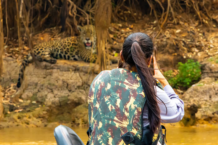 Jaguar Tour, Pantanal