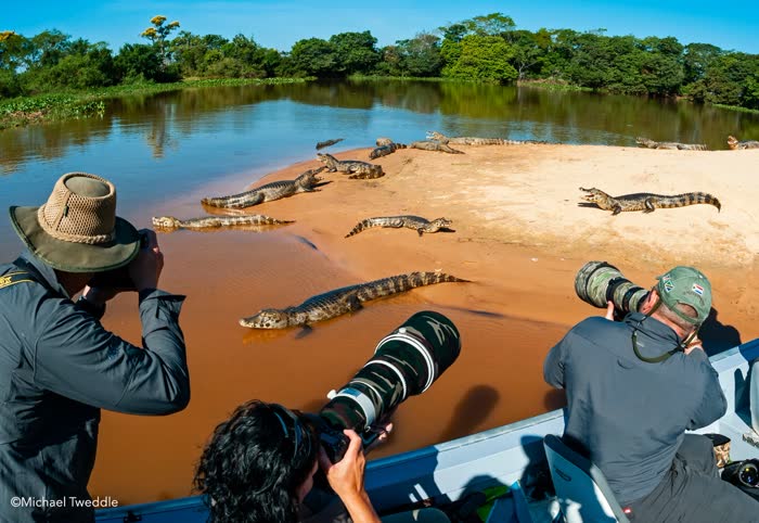 Jaguar Tour, Pantanal