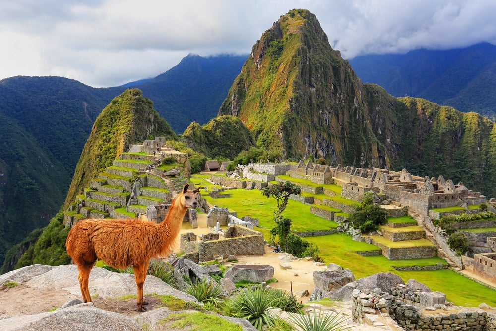 Machu Picchu, Cusco and Wildlife, Cusco, Sacred Valley and Machu Picchu, Peru