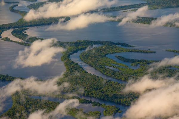 Aerial view of the Anavilhanas archipelago on the Rio Negro