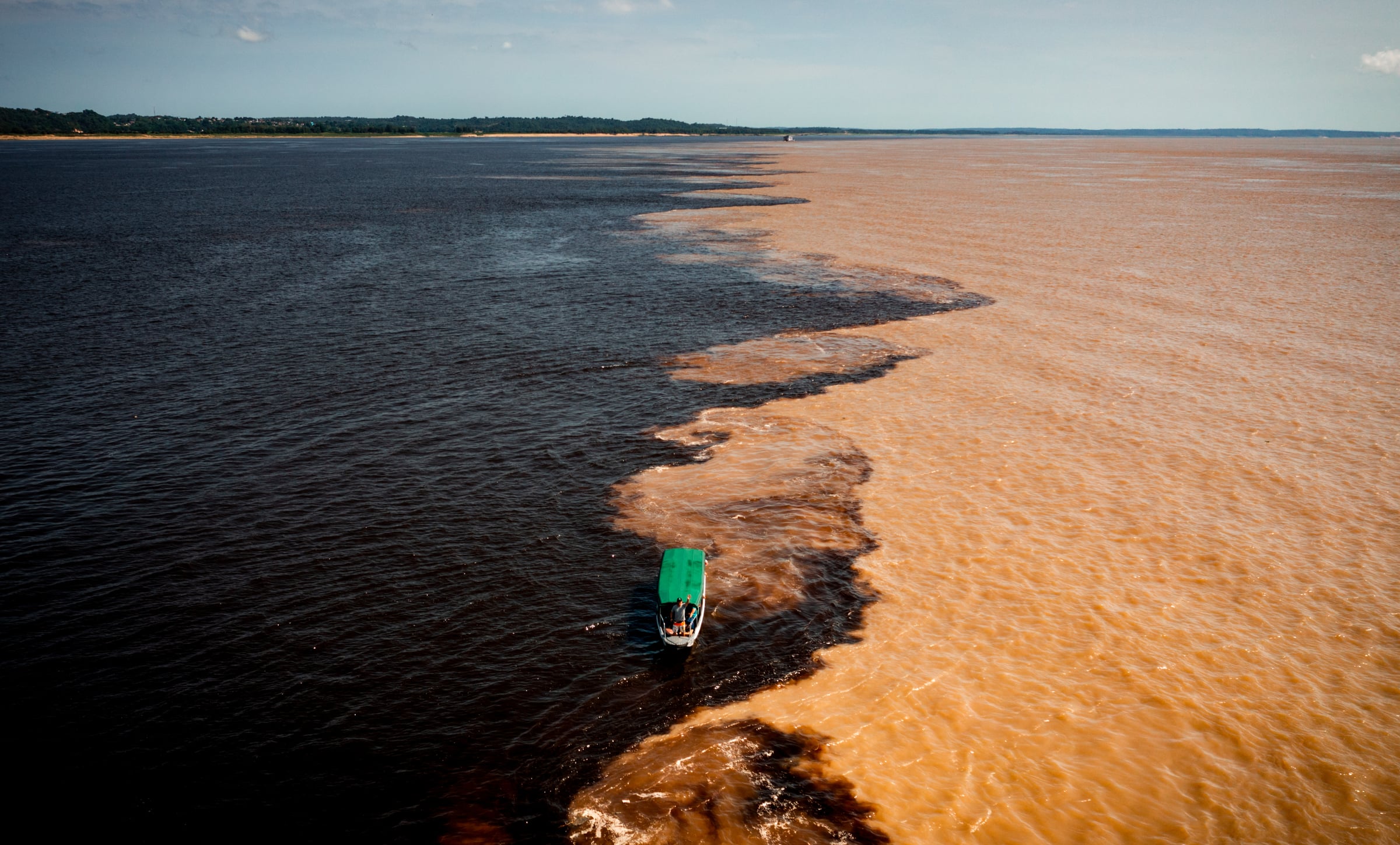 Manaus Wildlife Secrets, Rio Negro & Anavilhanas, Amazonas, Brazil