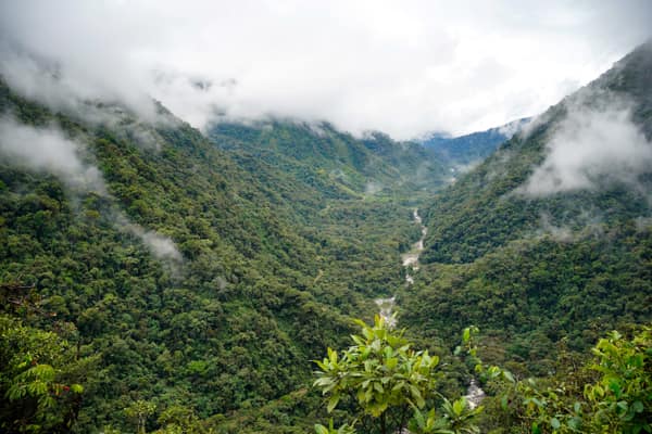 The cloud forest valley at the entrance to Manu