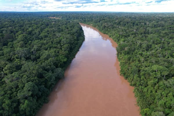 An Amazon river winding through the Manu rainforest