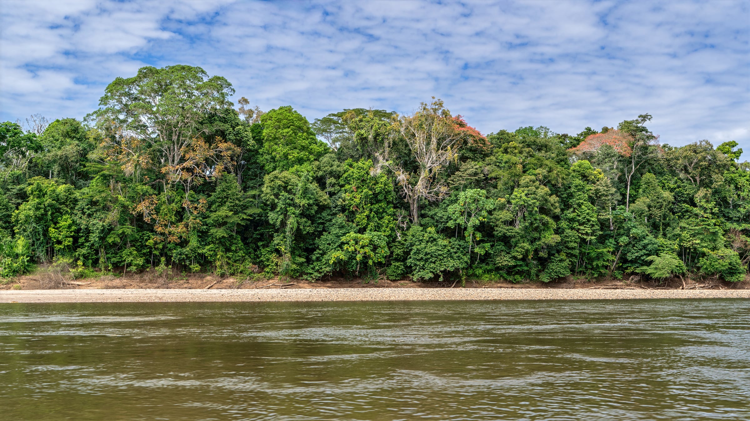 Manu Biotrip, Manu National Park and Reserved Zone, Peru
