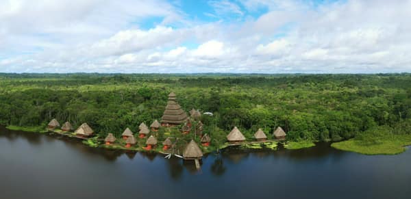 Wildlife and rainforest at Napo Wildlife Center, Yasuní
