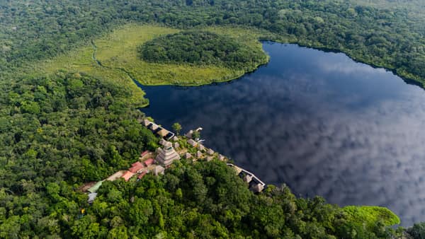 Wildlife and rainforest at Napo Wildlife Center, Yasuní
