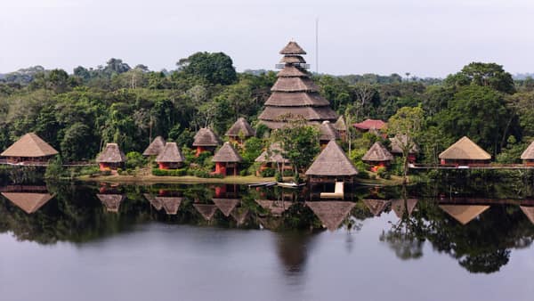 Wildlife and rainforest at Napo Wildlife Center, Yasuní
