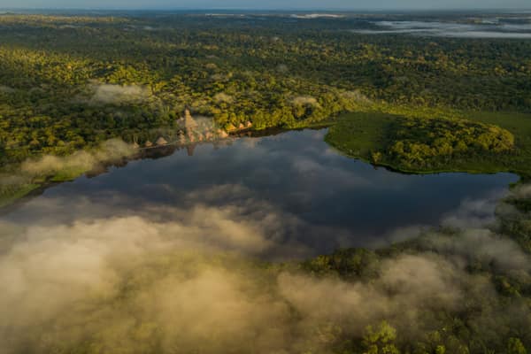 Wildlife and rainforest at Napo Wildlife Center, Yasuní