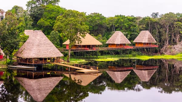 Wildlife and rainforest at Napo Wildlife Center, Yasuní