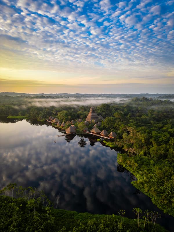 Wildlife and rainforest at Napo Wildlife Center, Yasuní