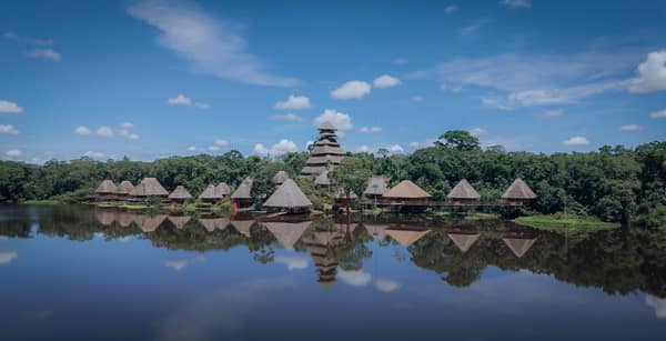 Wildlife and rainforest at Napo Wildlife Center, Yasuní